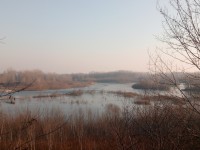 Oasi Naturalistica di Isola Sant'Antonio